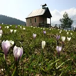 Familienwanderhof Eggeler * Liesing