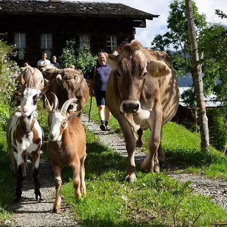 Familienwanderhof Eggeler Vakantieboerderij *