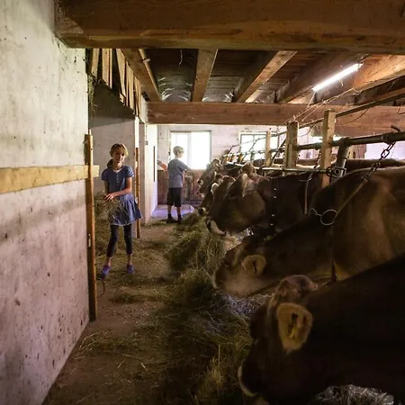 Familienwanderhof Eggeler 팜스테이 리징