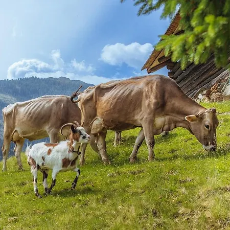 Familienwanderhof Eggeler *