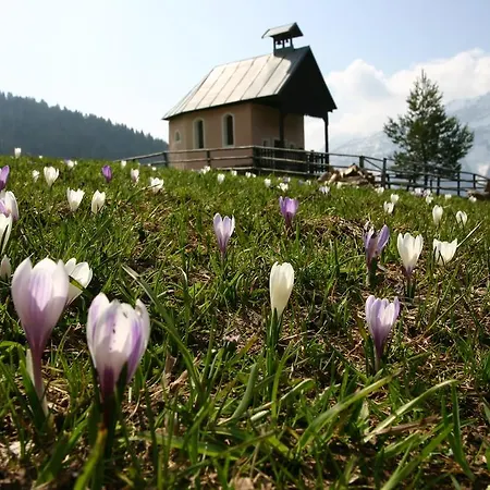 Familienwanderhof Eggeler * Liesing