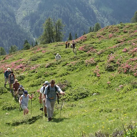 Vakantieboerderij Familienwanderhof Eggeler *