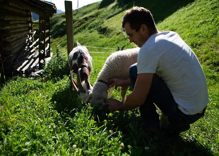 Familienwanderhof Eggeler Séjour à la ferme *