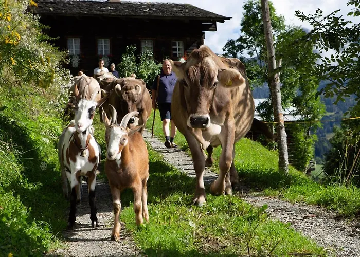 Familienwanderhof Eggeler Séjour à la ferme *