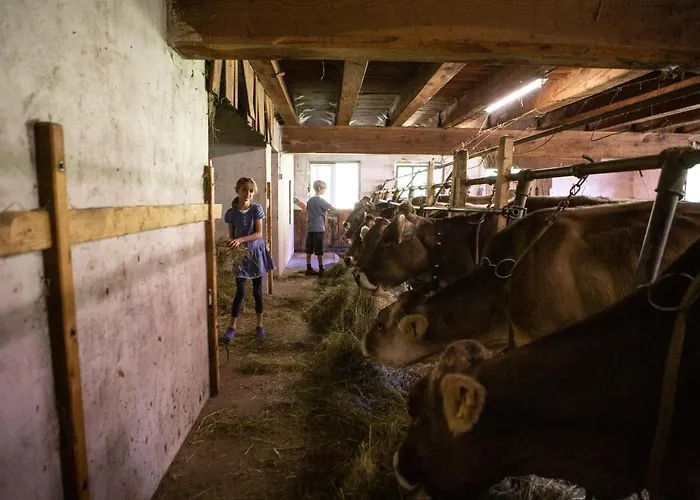 Familienwanderhof Eggeler Séjour à la ferme Liesing