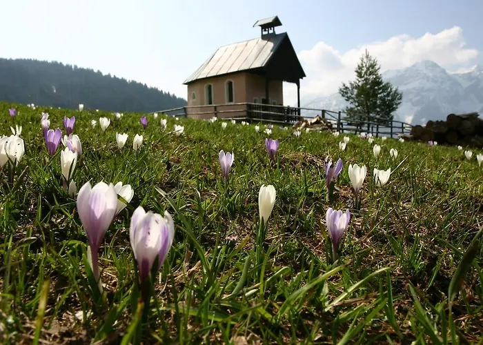 Familienwanderhof Eggeler * Liesing